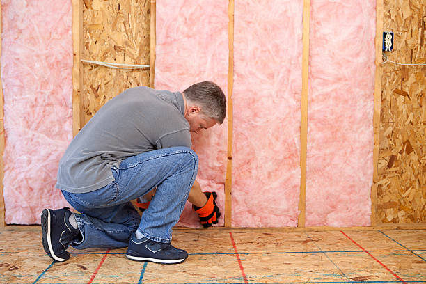 Best Attic Insulation Installation  in Waverly, IL